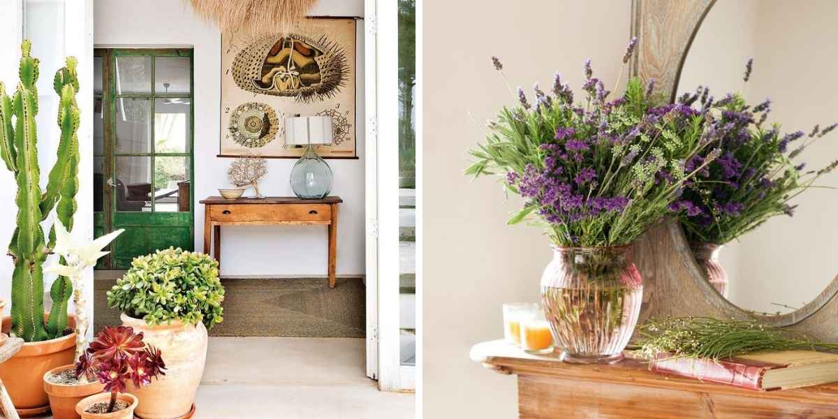 decorar casa de pueblo con plantas